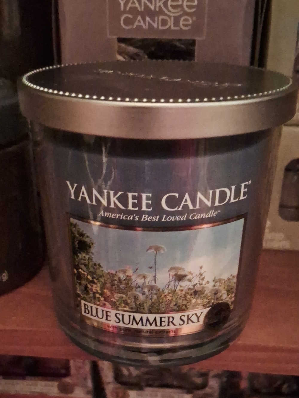 Yankee Candle Blue Summer Sky Multi-Color  Single Wick Jar